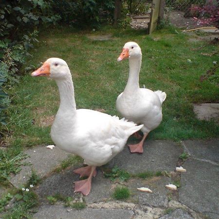 Oldlands Farm Villa Crawley  Dış mekan fotoğraf